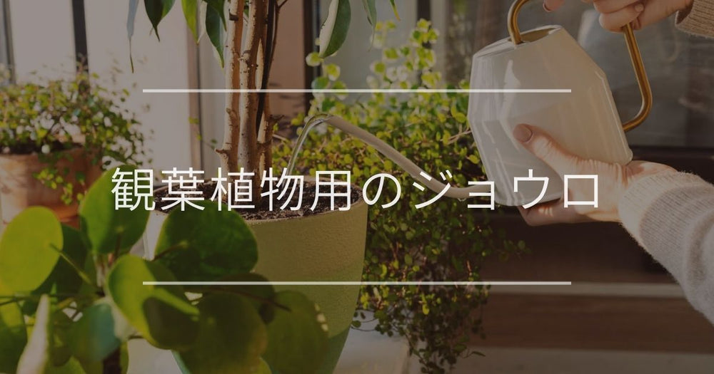 観葉植物用のジョウロ｜選び方やおすすめについて