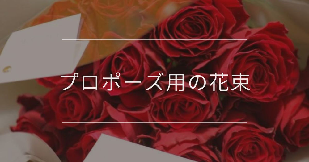 プロポーズに喜ばれる花束｜選び方・渡すときの注意点