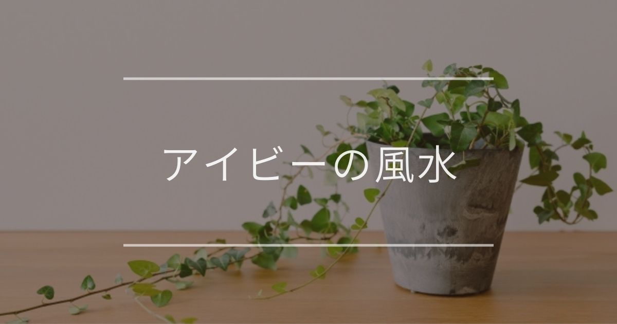 アイビーの風水｜置き場所と方角について