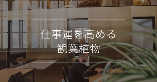 仕事運が劇的に変わる観葉植物｜運気を引き寄せる置き場所・方角