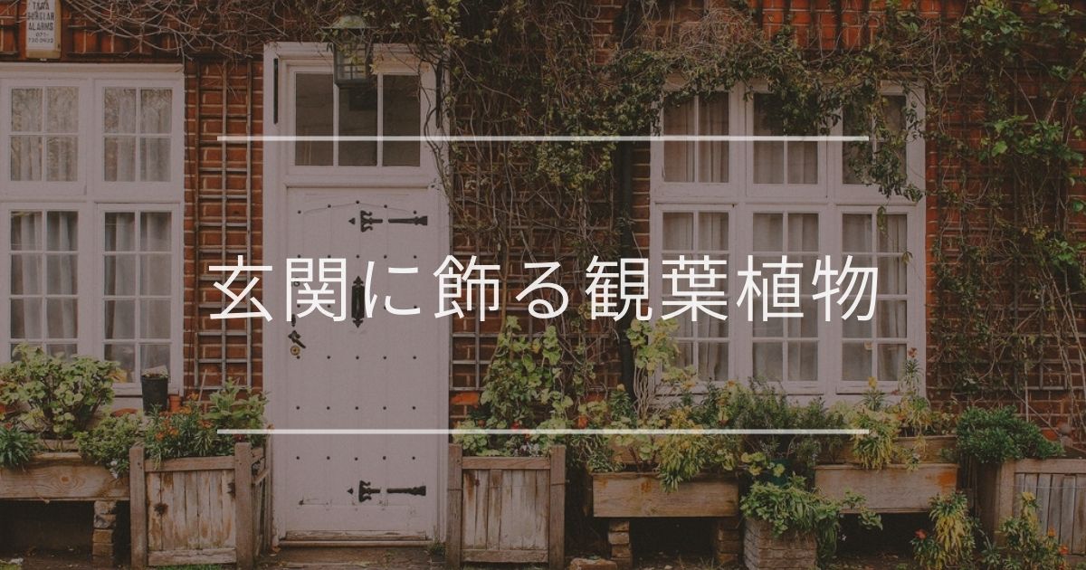 玄関に置くと幸運を呼ぶ観葉植物｜風水・日陰別・インテリア例