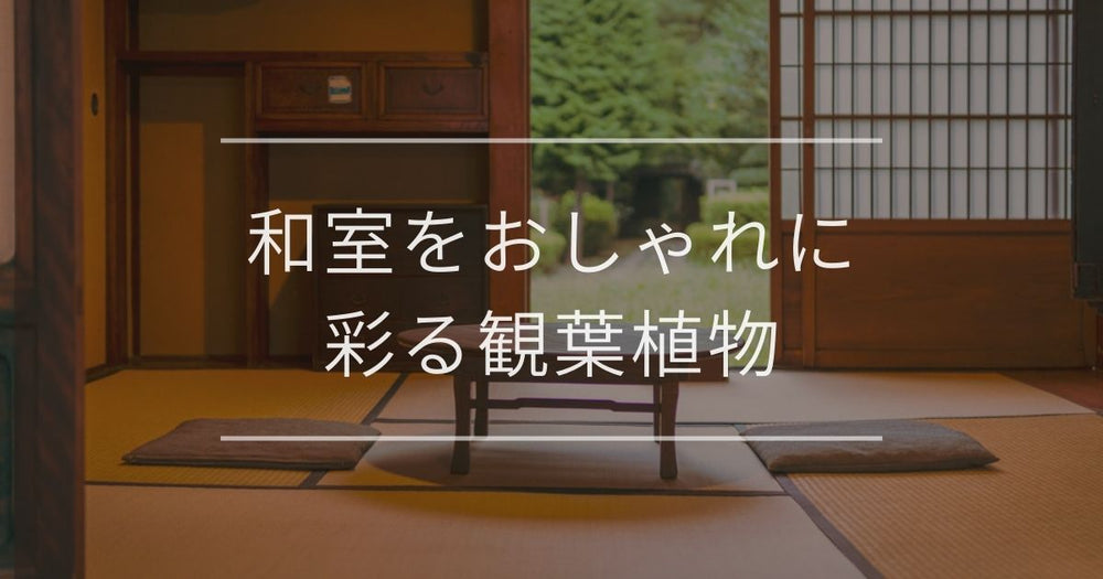 和室をおしゃれに彩る観葉植物｜風水効果別やコーディネート例