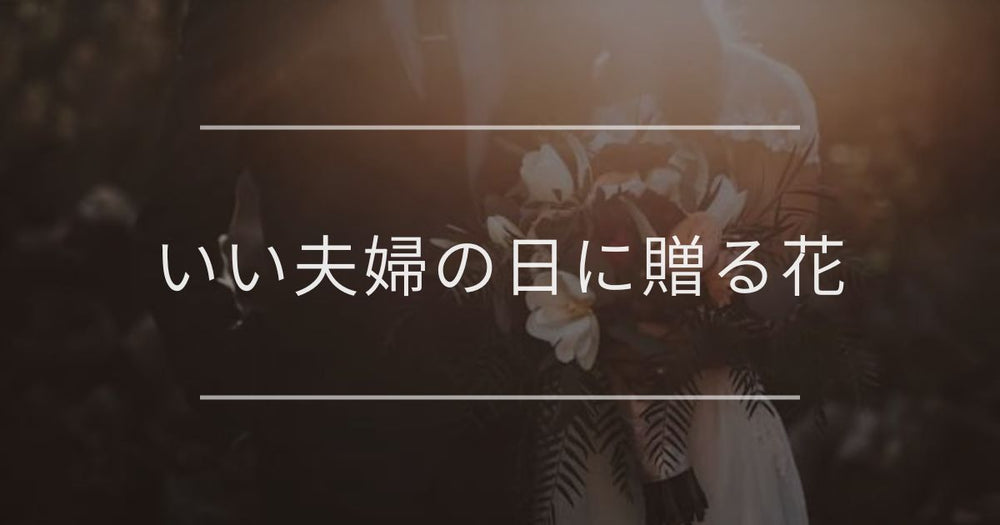 いい夫婦の日に贈る花｜夫・妻・両親が喜ぶおすすめや花言葉