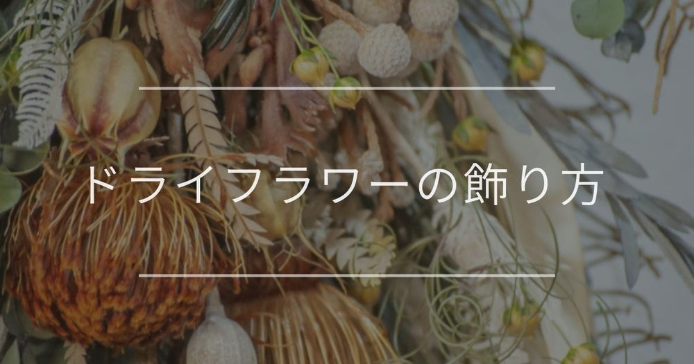 ドライフラワーの飾り方｜おしゃれなインテリア例と注意点について