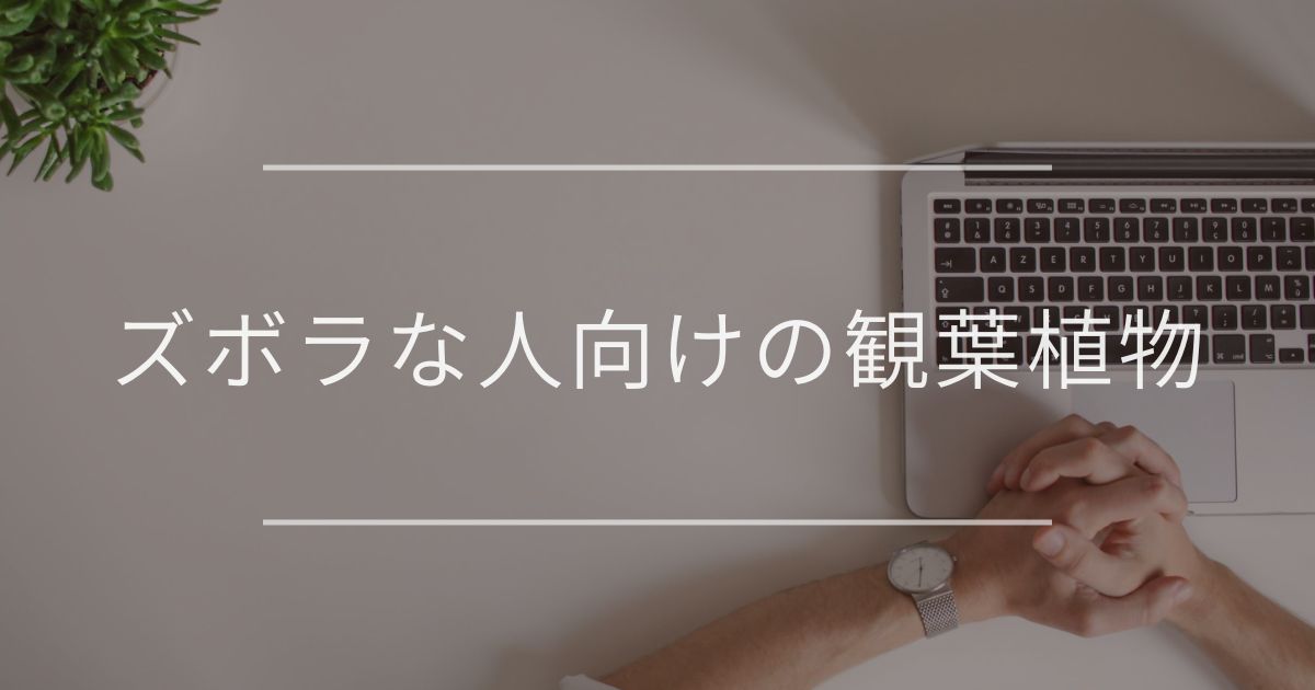 ズボラな人向けの観葉植物｜選ぶコツと簡単ケア方法を紹介