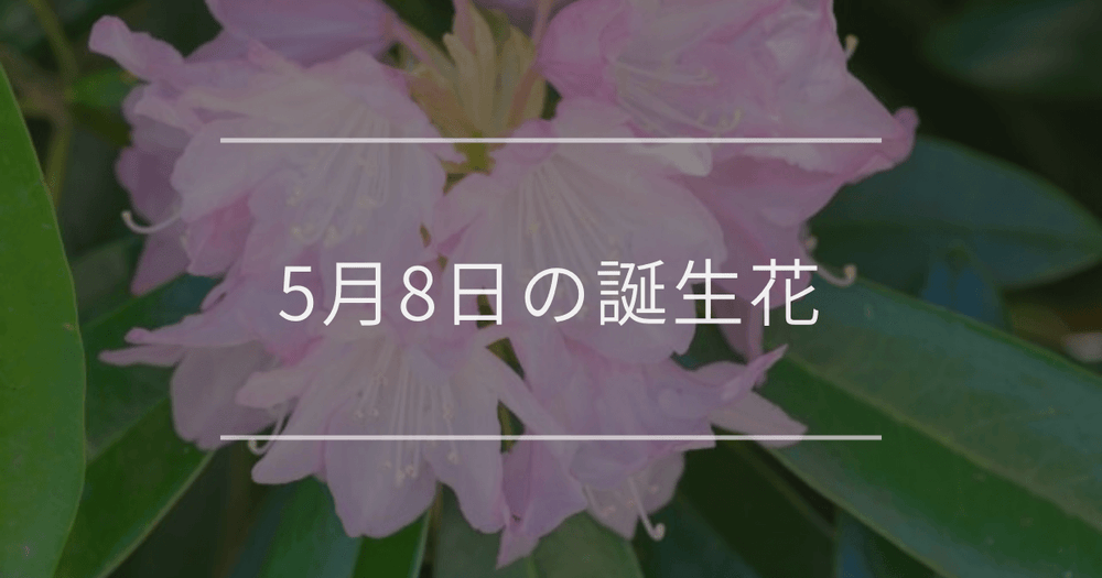 5月8日の誕生花：シャクナゲ・ベルフラワーの花言葉など