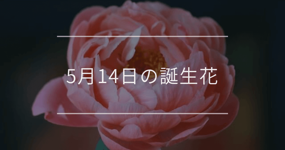 5月14日の誕生花：シャクヤク・アイリスの花言葉など
