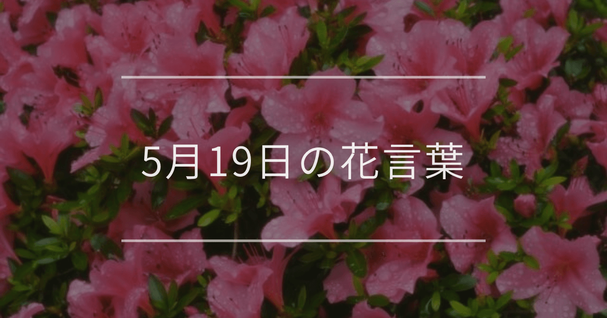 5月19日の誕生花：サツキ・ブラシノキの花言葉など