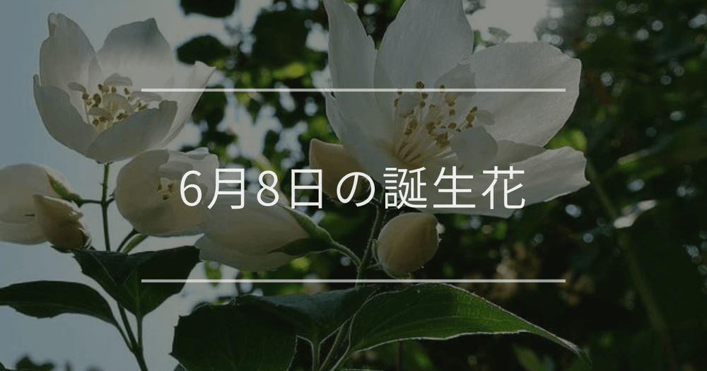 6月8日の誕生花：ジャスミン・タイサンボクの花言葉など