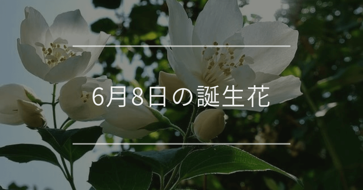 6月8日の誕生花