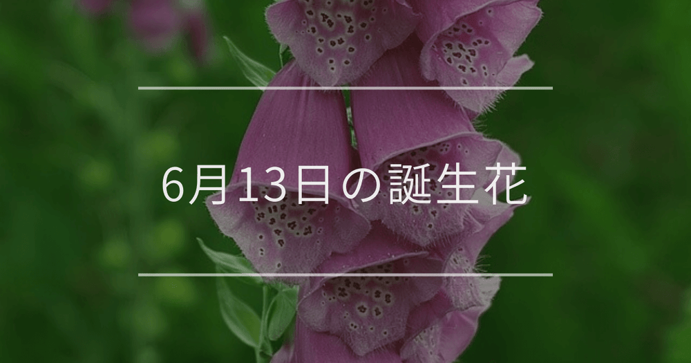 6月13日の誕生花：ジギタリス・ブライダルベールなどの花言葉