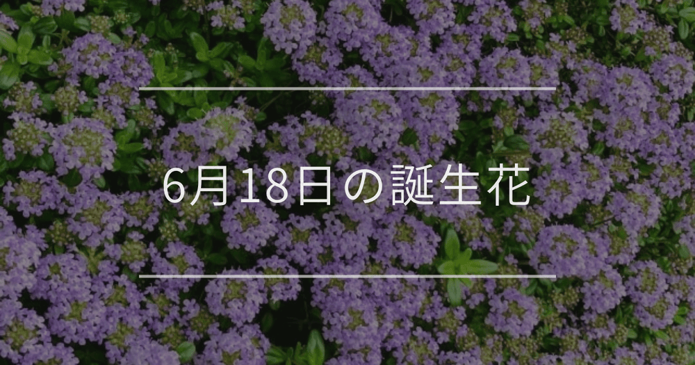 6月18日の誕生花：タイム・タチアオイの花言葉など