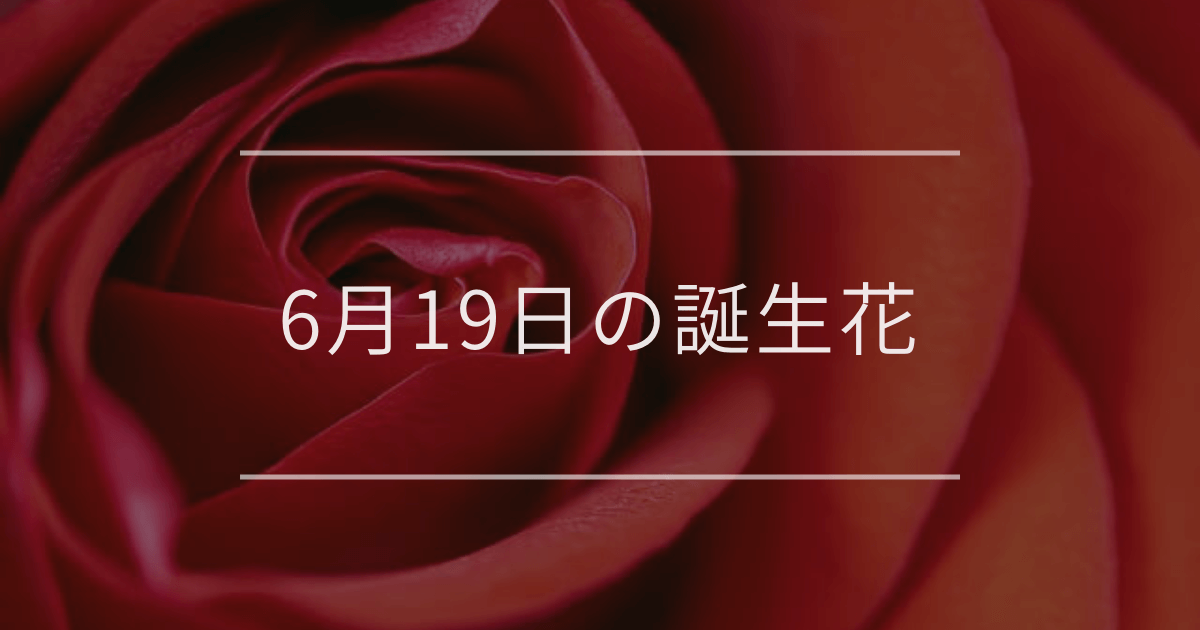 6月19日の誕生花:バラ・イキシアの花言葉など | 観葉植物・お花の通販 6月19日の誕生花:バラ・イキシアの花言葉など | 観葉植物・お花の通販