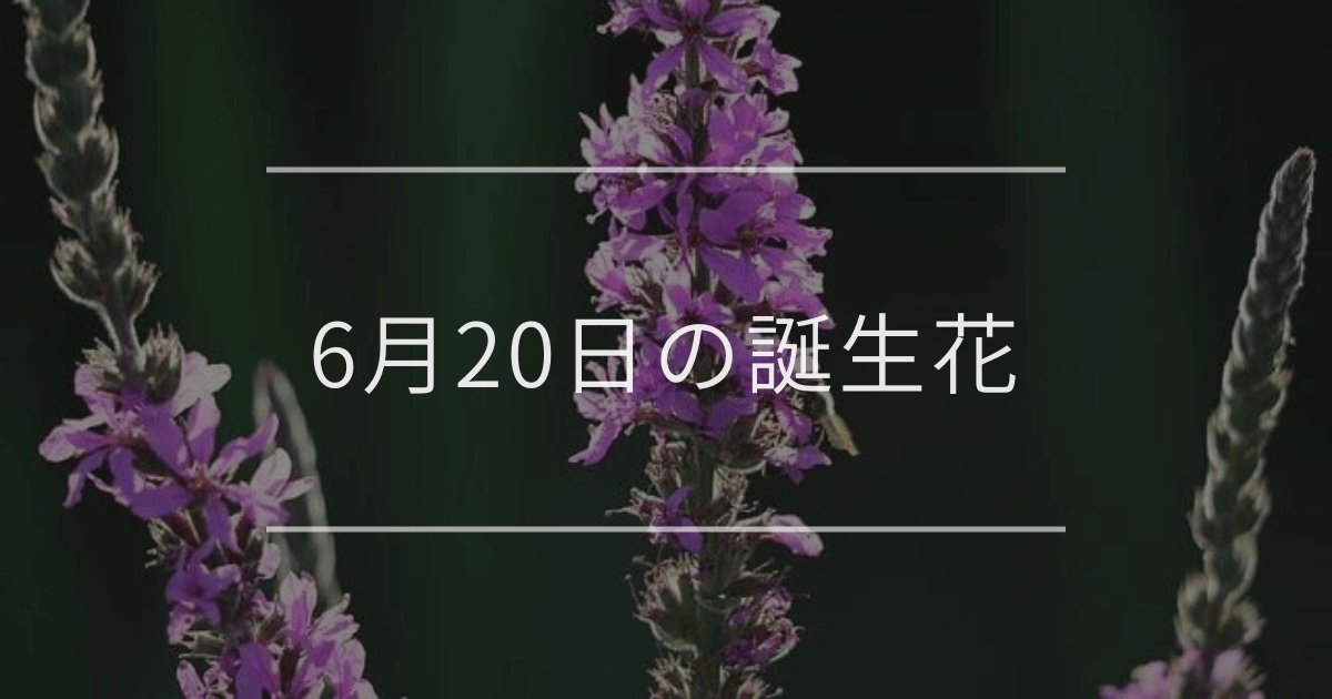 6月20日の誕生花