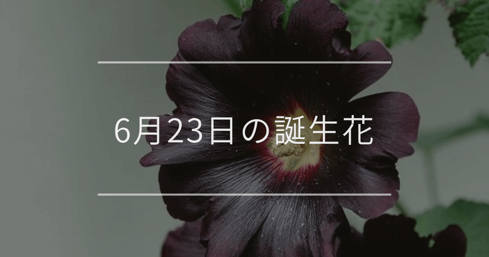 6月23日の誕生花：タチアオイ・ミヤコワスレの花言葉など
