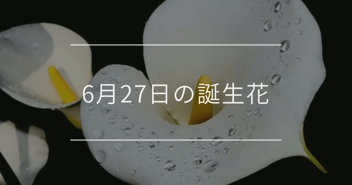 6月27日の誕生花