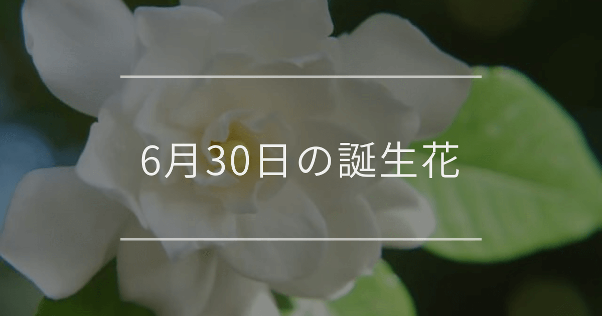 6月30日の誕生花