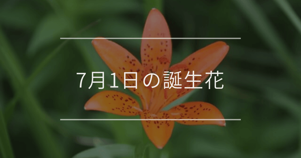 7月1日の誕生花：ヒメユリ・クレマチスの花言葉など