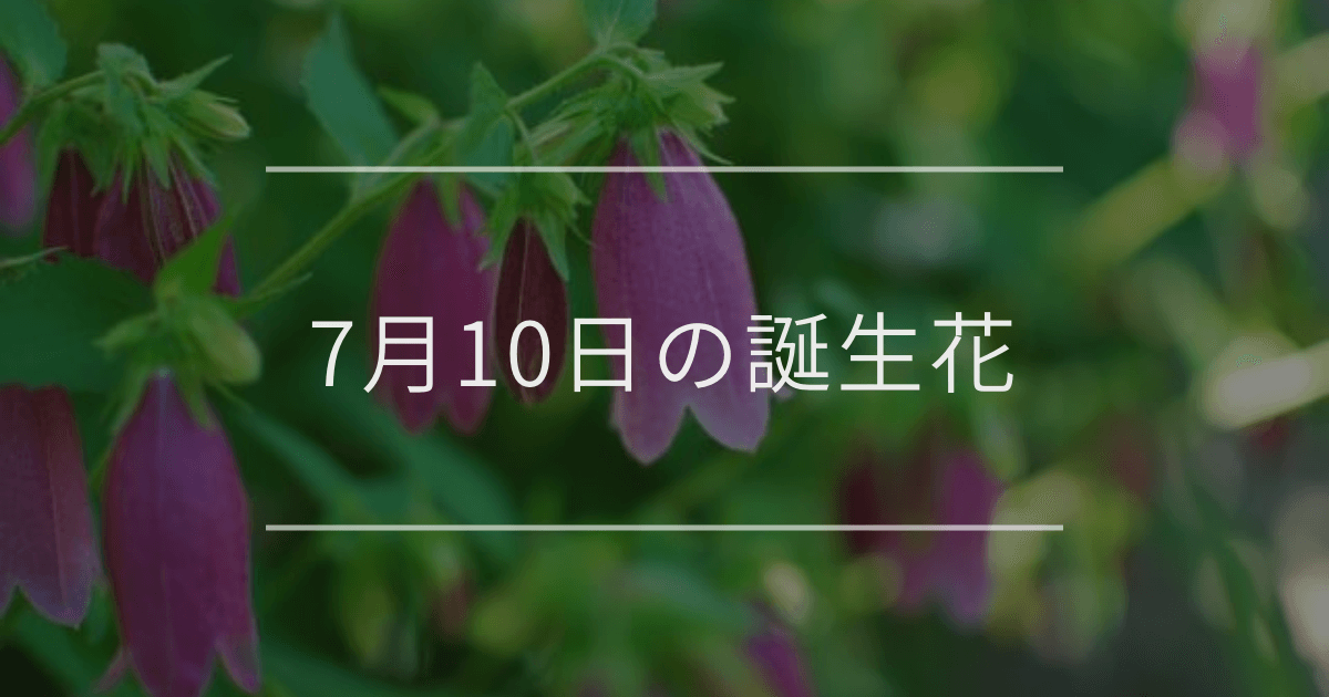 7月10日の誕生花：ホタルブクロ・グロキシニアの花言葉など
