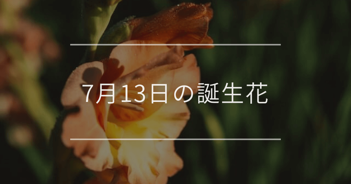 7月13日の誕生花