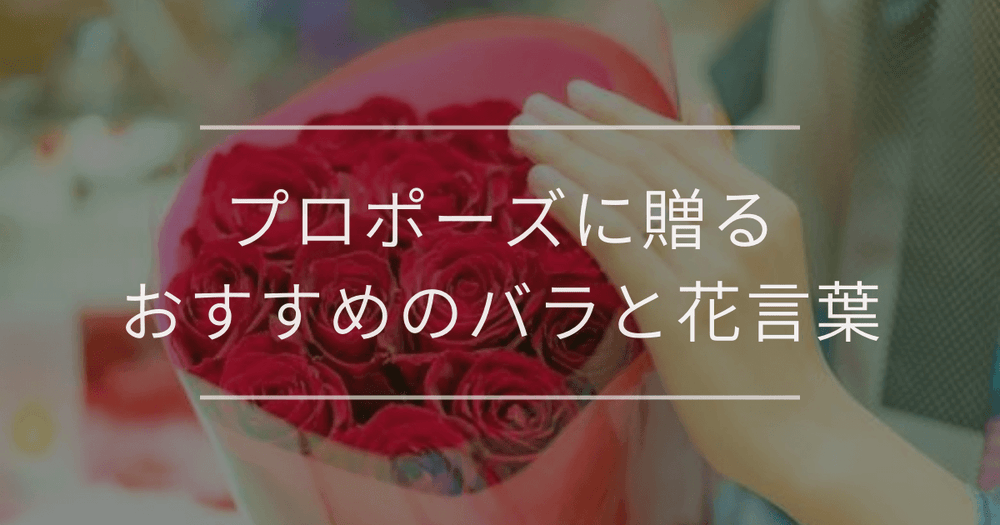 プロポーズに贈るバラ｜本数・色別のおすすめや注意点