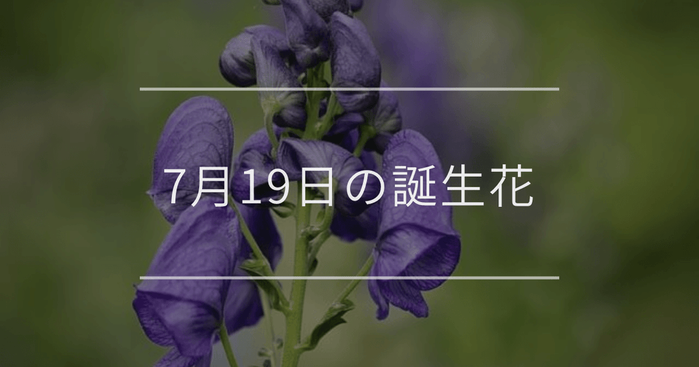 7月19日の誕生花：トリカブト・ゲッカビジン(月下美人)の花言葉など