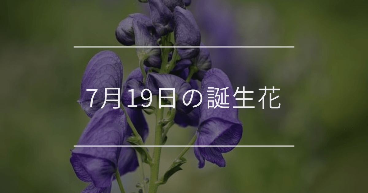 7月19日の誕生花:トリカブト・ゲッカビジン(月下美人)の花言葉など 7月19日の誕生花:トリカブト・ゲッカビジン(月下美人)の花言葉など