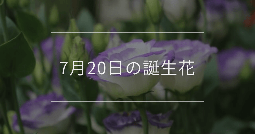 7月20日の誕生花：トルコキキョウ・ヒマワリの花言葉など