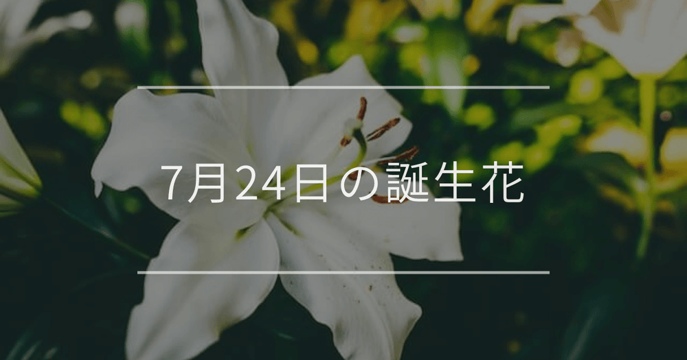 7月24日の誕生花：ユリ・シャクヤク(芍薬)の花言葉など
