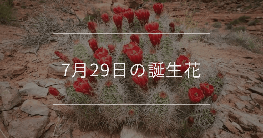 7月29日の誕生花：サボテン・ダリアの花言葉など