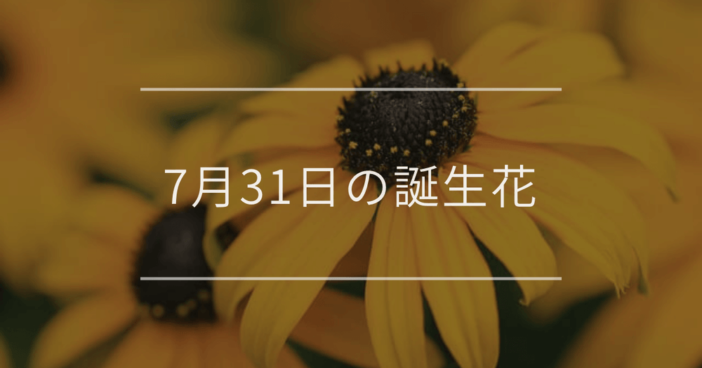 7月31日の誕生花：ルドベキア・ツルバラの花言葉など