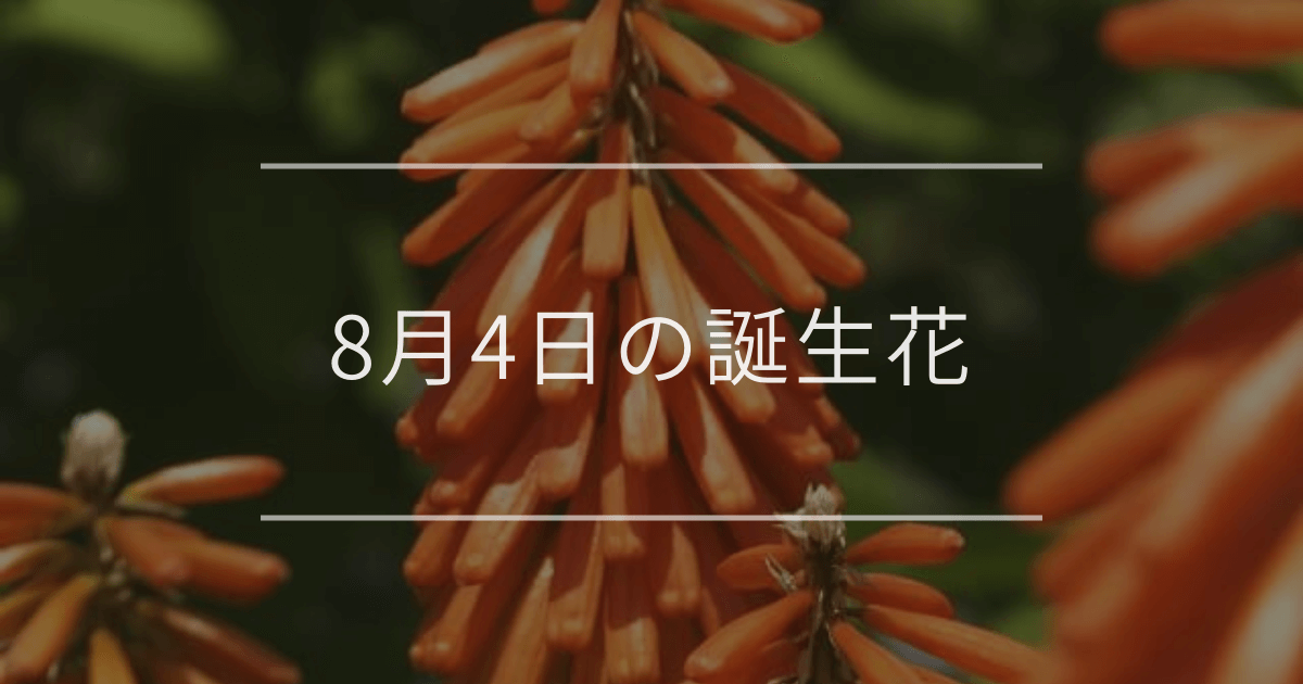 8月4日の誕生花