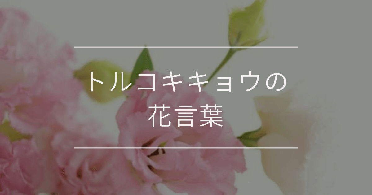 トルコキキョウの花言葉
