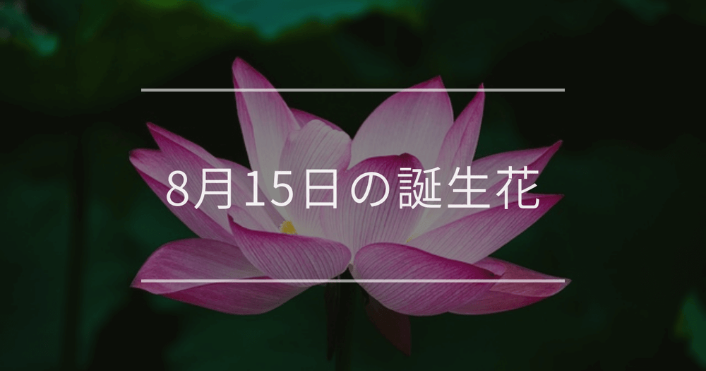 8月15日の誕生花：ハス・モントブレチアの花言葉など