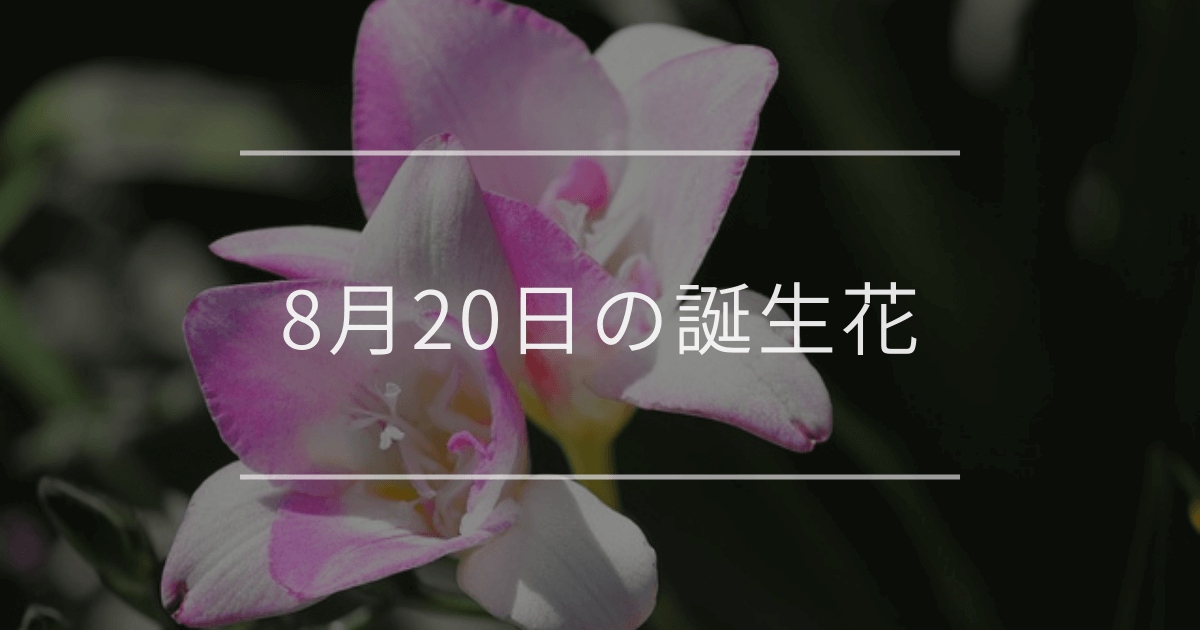 8月20日の誕生花