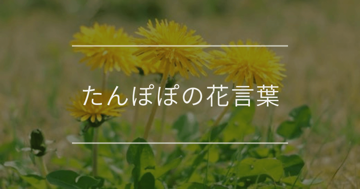 たんぽぽの花言葉