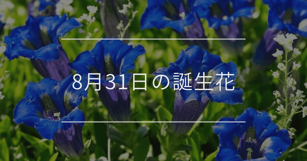 8月31日の誕生花：リンドウ・サルビアの花言葉など