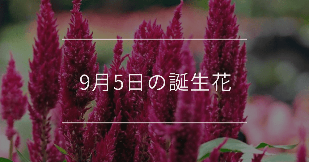 9月5日の誕生花：ケイトウ・オミナエシの花言葉など