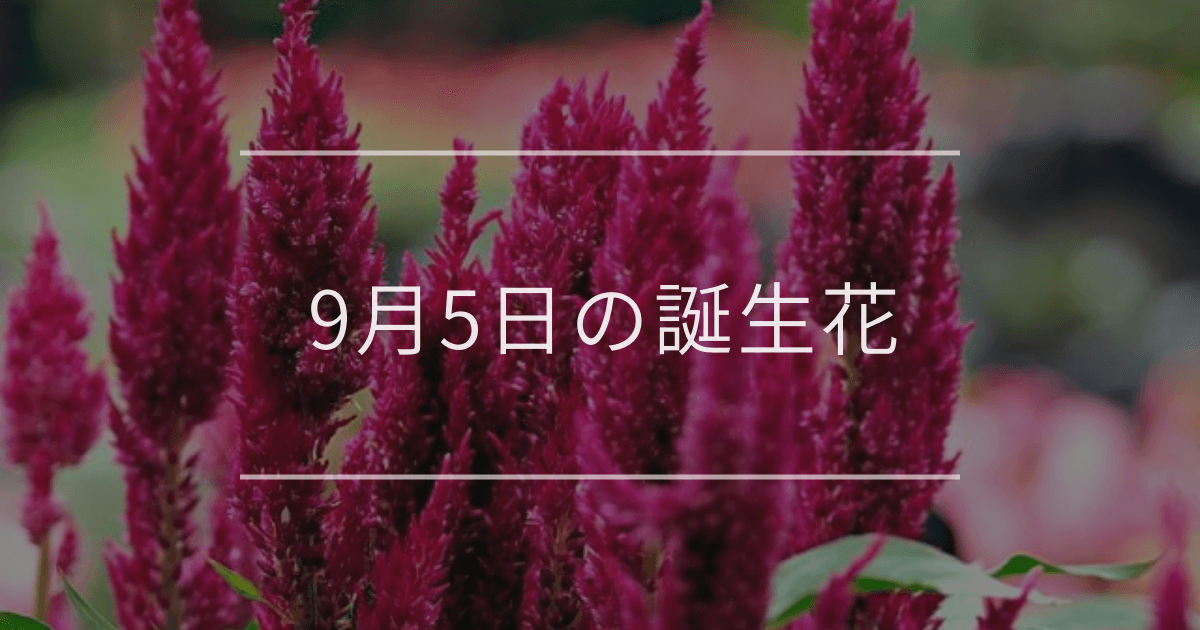 9月5日の誕生花