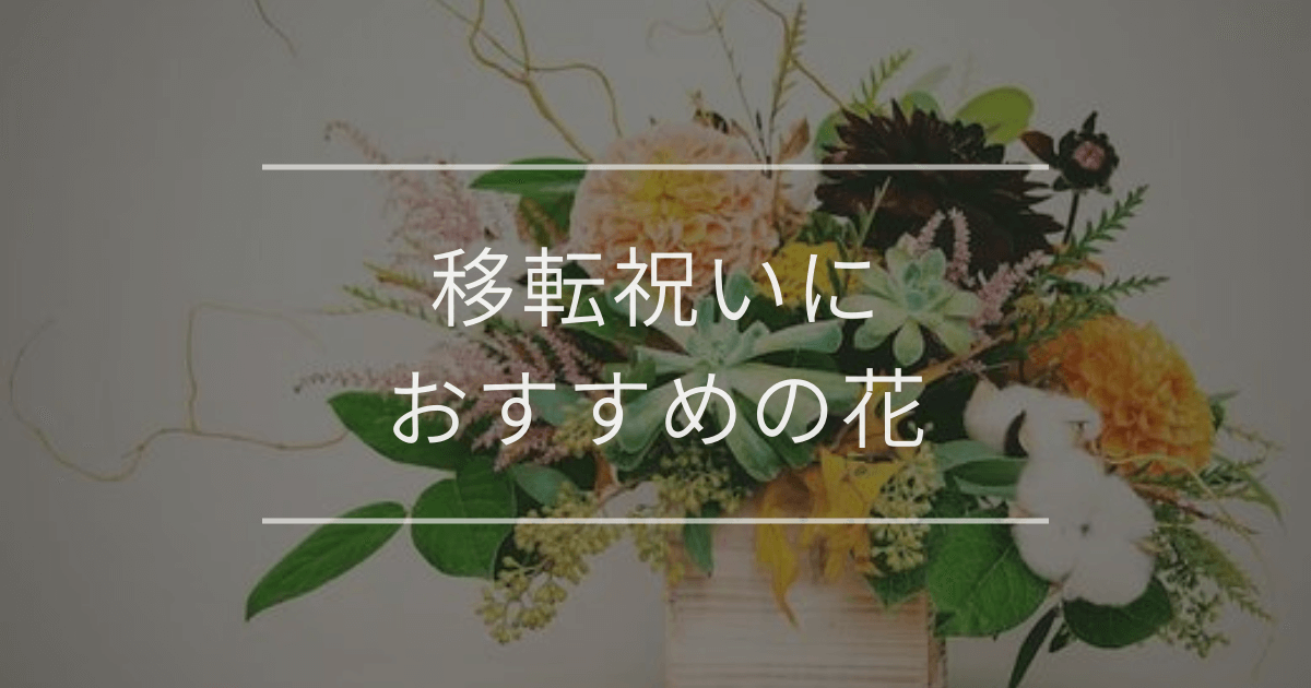 移転祝いにおすすめの花
