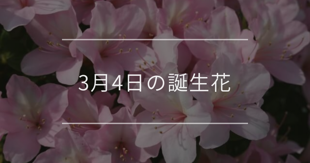 3月4日の誕生花：アザレア・ペラルゴニウムの花言葉など