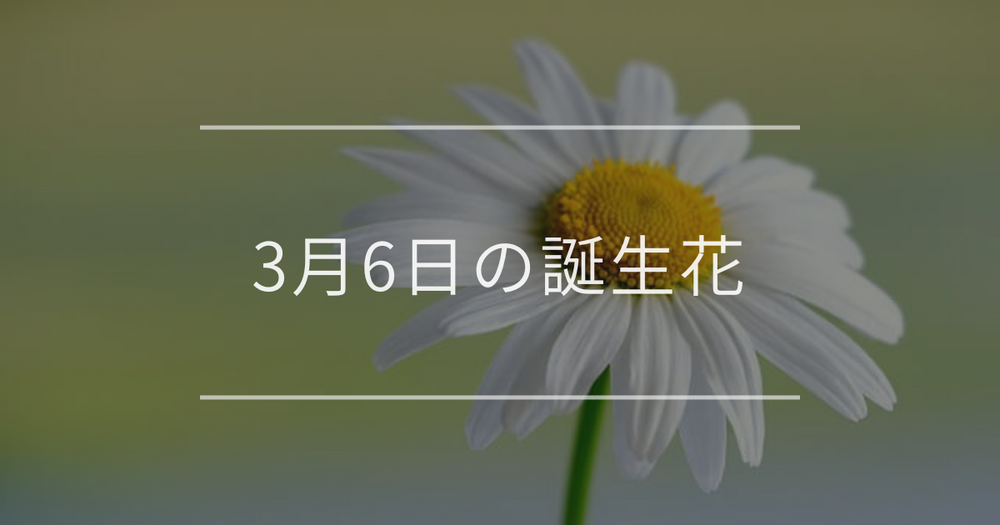 3月6日の誕生花：デイジーやオウバイ(黄梅)の花言葉など