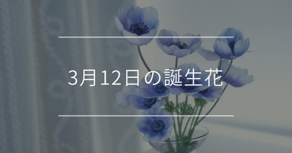 3月12日の誕生花：アネモネ・エニシダの花言葉など