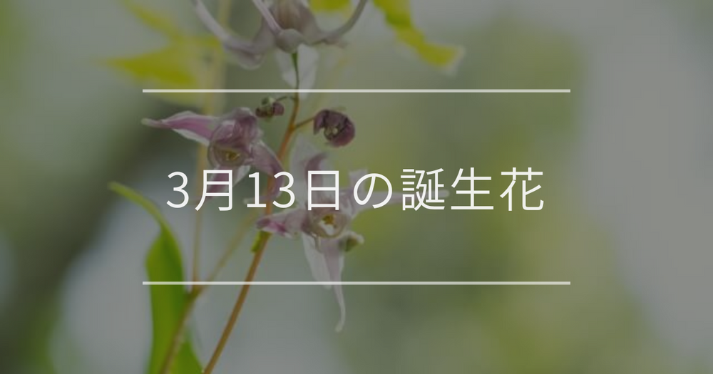 3月13日の誕生花：イカリソウ・アネモネの花言葉など