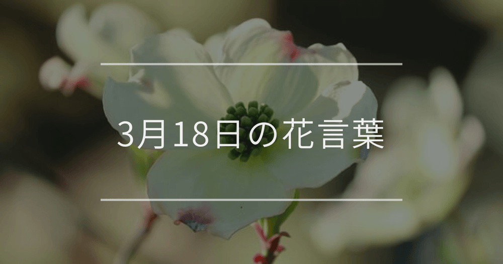 3月18日の誕生花：ハナミズキやトサミズキの花言葉など