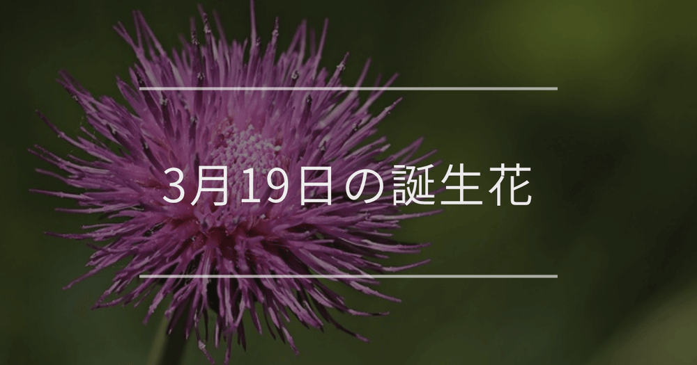 3月19日の誕生花：アザミ・シダレザクラの花言葉など