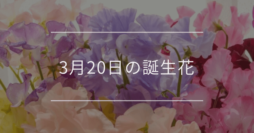 3月20日の誕生花：スイートピーやミツマタの花言葉など