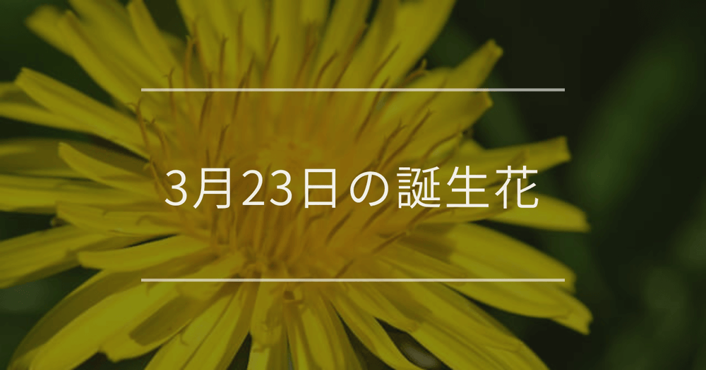 3月23日の誕生花：タンポポやデルフィニウムの花言葉など