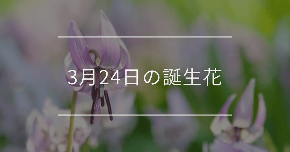 3月24日の誕生花：カタクリ・コブシの花言葉など