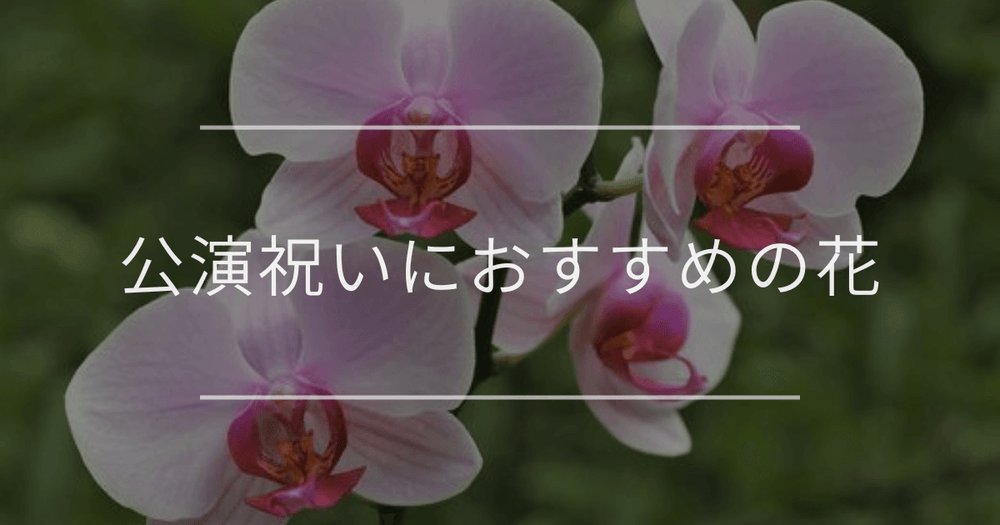 公演祝いにおすすめの花｜選び方と相場について